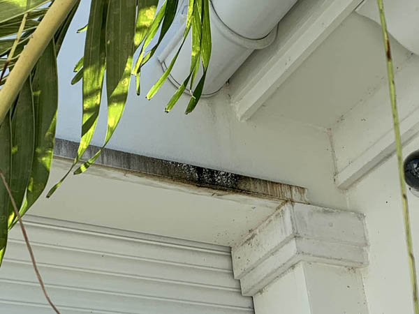 Gutter Leak Issues