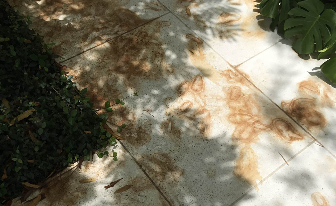 Driveways And Walkways Leaf Stain Issues 01