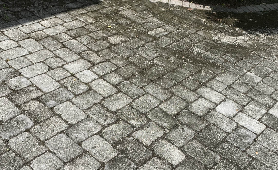 Driveways And Walkways Mold Issues 01