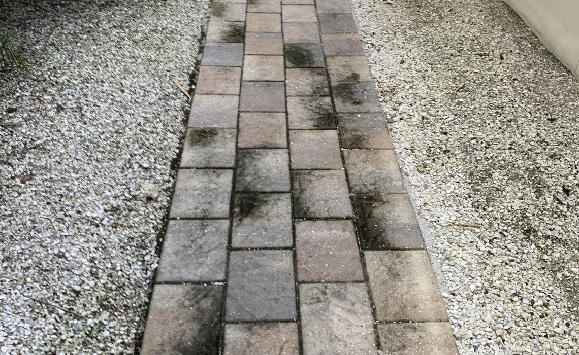 Driveways And Walkways Mold Issues 02