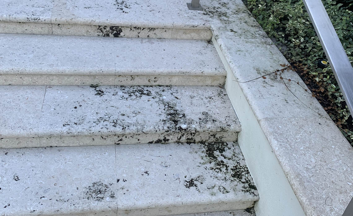 Steps And Stairs Mold Issues 01